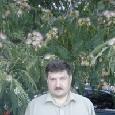 Олег Тарасенко