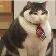 Максим Бабушкин