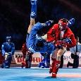 Виктор Соколов